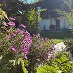 Garden House Timisoara