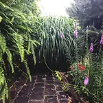 Daire Garden House