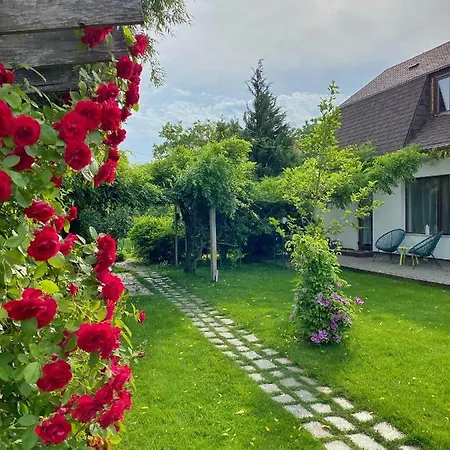 Garden House * Timisoara