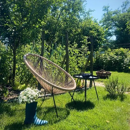 Garden House * 蒂米什瓦拉