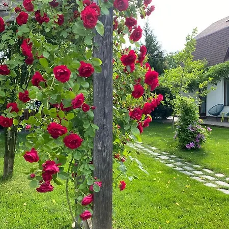 Apartment Garden House