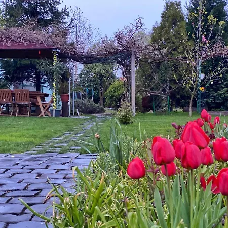 Garden House Timisoara