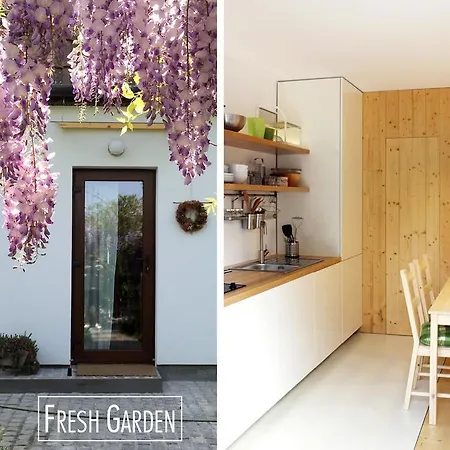 Garden House 蒂米什瓦拉