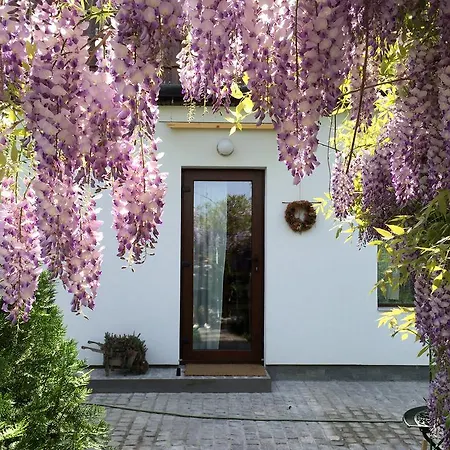 Apartment Garden House *
