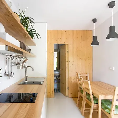 公寓 Garden House 蒂米什瓦拉