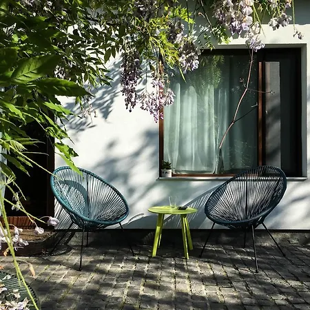 Garden House 公寓 蒂米什瓦拉