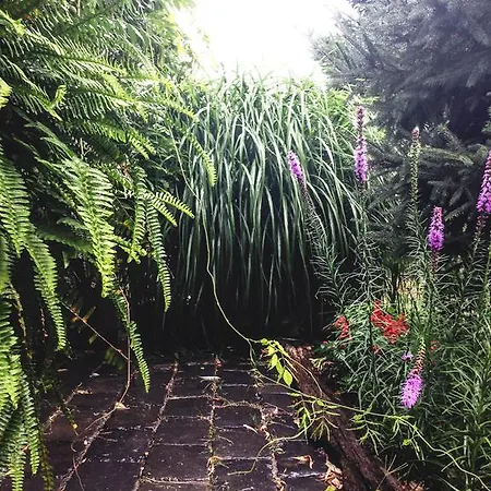 Apartment Garden House