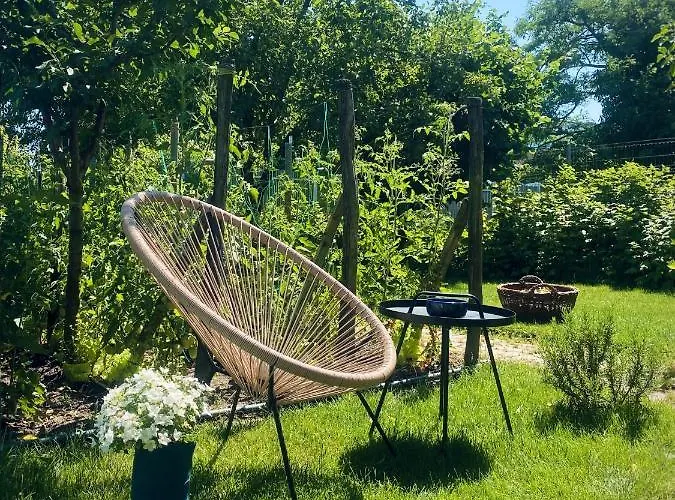 Garden House * Timisoara