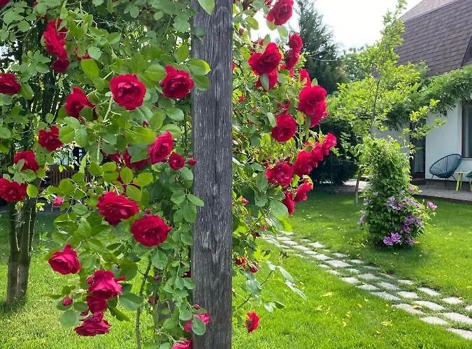 Appartement Garden House