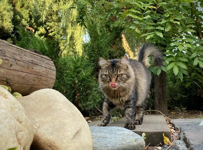 Garden House Апартаменти