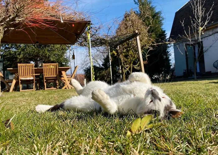 Appartement Garden House