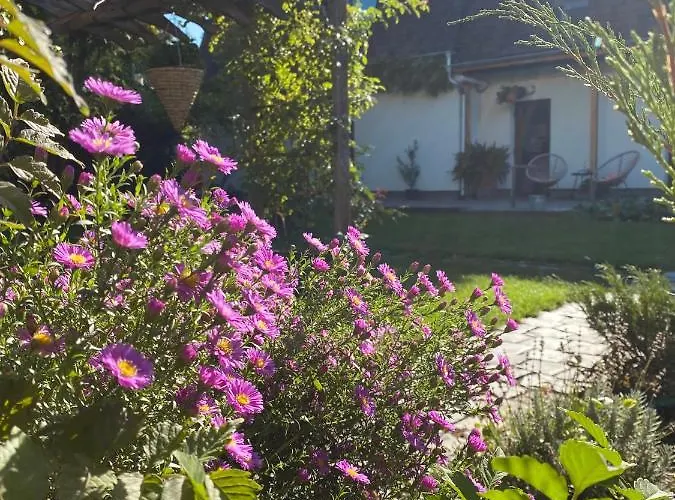 Garden House Timişoara