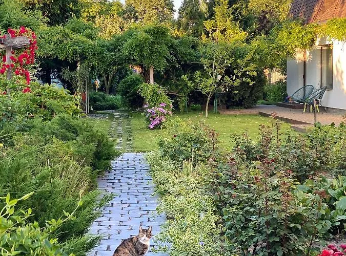 Garden House Apartamento *