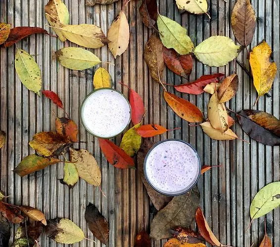 Garden House * Timişoara