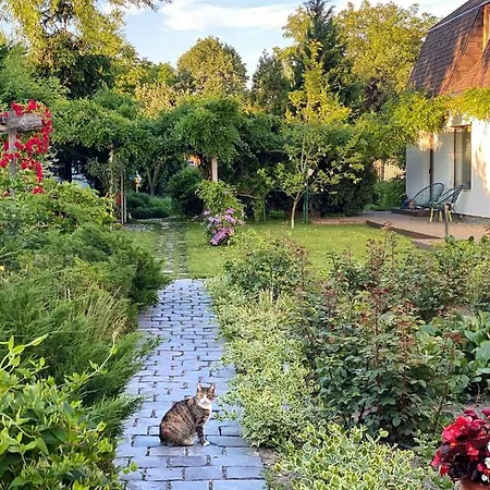 Garden House Daire *