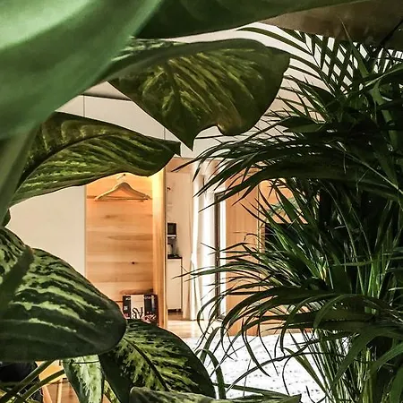 Garden House Daire Temeşvar