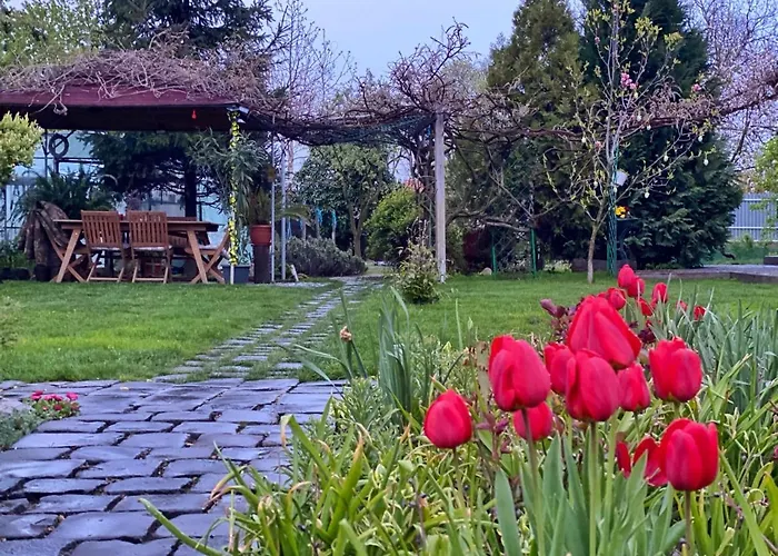 Garden House Temesvár