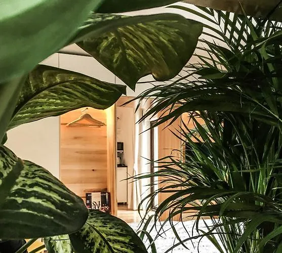 Garden House Apartman Temesvár