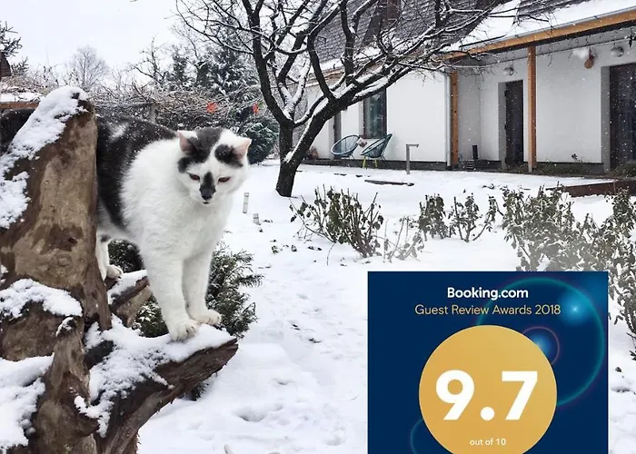 Garden House Apartman Temesvár